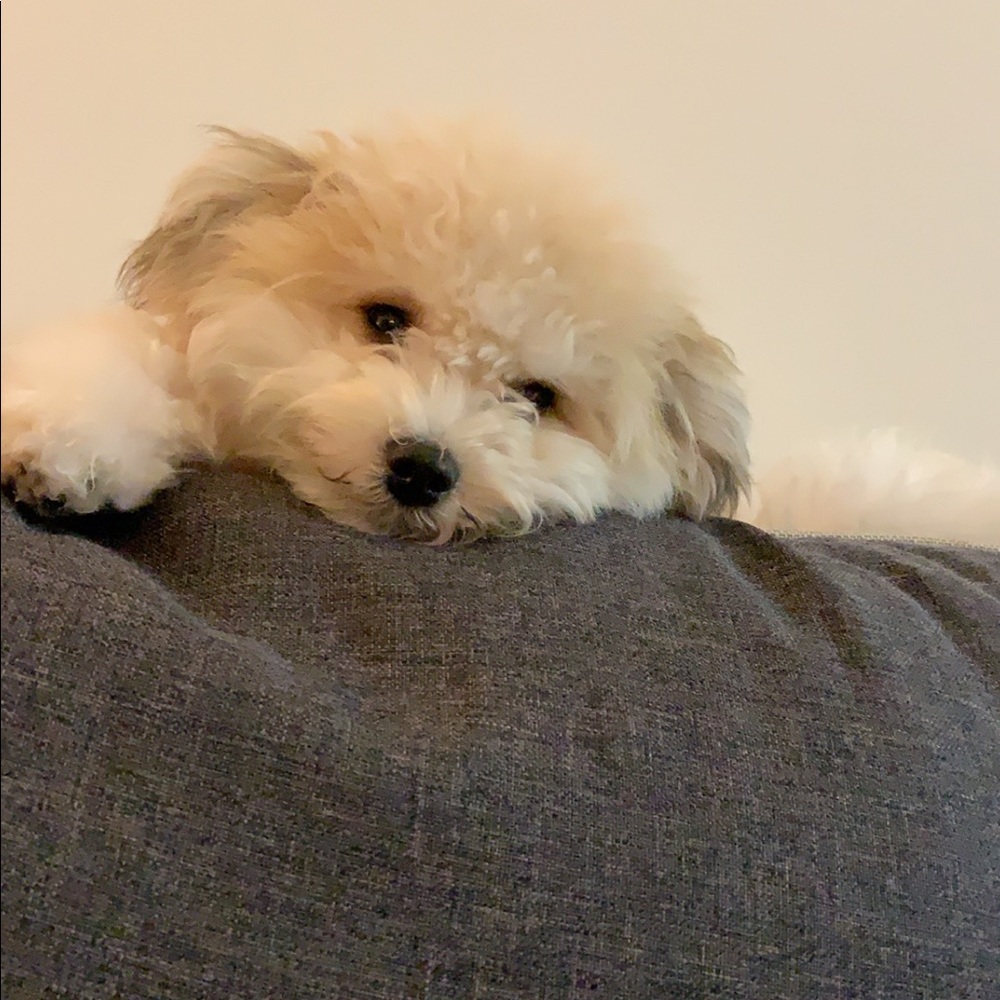 Meet your Posher, Fatema